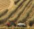 4WD Tractors Case IH Quantum 110 CL