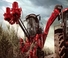Biçer döver Case IH Austoft 9900
