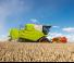 Biçer döver Claas Avero 160