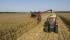 Biçer döver Case IH Axial Flow 7088