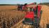 Biçer döver Case IH Axial Flow 9120
