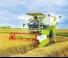 Biçer döver Claas Dominator 40 Terra Trac