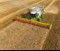 Biçer döver Claas Lexion 740
