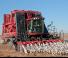 Biçer döver Case IH Module Express 635