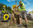 Tracked Dumpers Wacker Neuson DT10