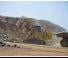 Crawler Excavators Caterpillar 6060