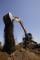 Crawler Excavators Case CX235CSR 