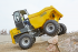 Wheel Dumpers Wacker Neuson DW100
