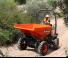 Wheel Dumpers Ausa D 300 AHG
