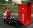 Tracked Dumpers Camisa TP 580