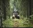 Forest Machinery Forwarders Ponsse Bison