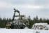 Forest Machinery Forwarders Ponsse Elk