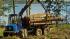 Forest Machinery Forwarders Rottne F 18