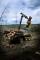 Forest Machinery Forwarders Ponsse Gazelle