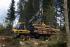 Forest Machinery Forwarders Ponsse Gazelle