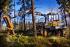 Forest Machinery Forwarders Ponsse Wisent
