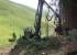 Forest Machinery Harvesters John Deere 1270 E IT4