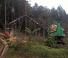 Forest Machinery Harvesters Neuson Forest 183HVT