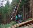 Forest Machinery Harvesters Neuson Forest 243HVT