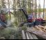 Forest Machinery Harvesters Komatsu 951