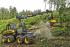 Forest Machinery Harvesters Ponsse Bear