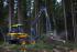 Forest Machinery Harvesters Ponsse Beaver