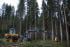 Forest Machinery Harvesters Ponsse Beaver