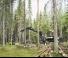 Forest Machinery Harvesters Ponsse Cobra