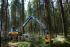 Forest Machinery Harvesters Ponsse Fox