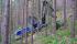 Forest Machinery Harvesters Rottne H 11