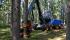 Forest Machinery Harvesters Rottne H 11