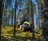 Forest Machinery Harvesters Ponsse Scorpion