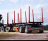 Trailers Lowbed Trailers Doll LOGO 21/22