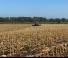 Meadow and field rollers Agrisem Faca Roller