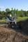Mini Excavators Bobcat E 14