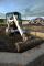 Mini Excavators Bobcat E 16