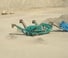 Mobile Screening Plants Powerscreen H5163R