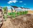 Amazone Cayron 200