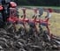 Ploughs Unia Ibis L plus 3+