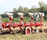 Ploughs Unia Ibis LS 4+ 