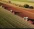 Ploughs Brix Meteor LV 180