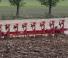 Ploughs Maschio Mirco 8+1 STD