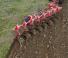 Ploughs Pöttinger Servo T 6000 Plus Nova