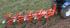 Kuhn Multi-Master 182 NSH 5