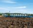Pulluklar Lemken Titan 18 7+4 / 100