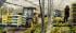 Telehandlers JCB 515-40