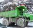 Terex 3308E