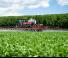 Self-propelled field sprayers Kuhn BOXER 2000 H