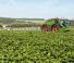 Self-propelled field sprayers Fendt Rogator 655