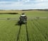 Self-propelled field sprayers Fendt Rogator 655 